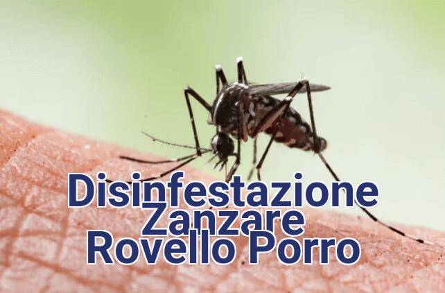 Disinfestazioni zanzare Rovello Porro (CO) - Trattamenti Antizanzara